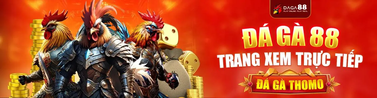 Đá Gà Trực Tuyến ACB888 Android